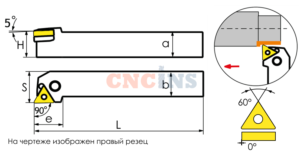  PTGNR / PTGNL 